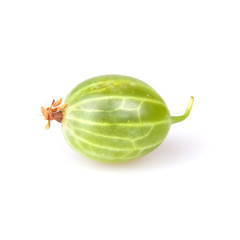 gooseberry