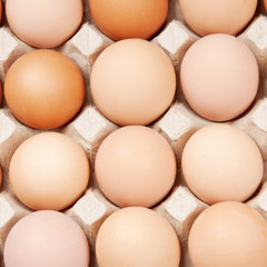 eggs
