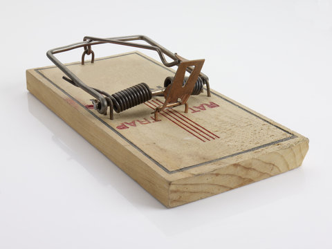 Mouse trap