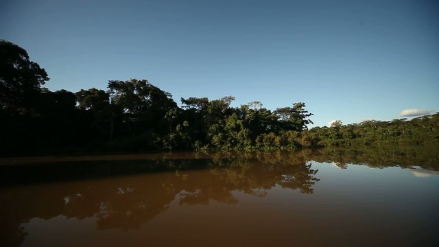 Amazonas Nebenfluß