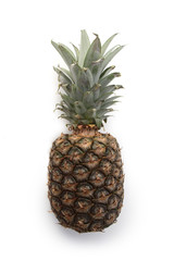 Fototapeta premium Ananas