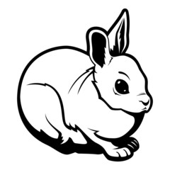 Black and White Rabbit