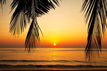 Foto auf Acrylglas Meer / Sonnenuntergang Tropischer Strand bei Sonnenuntergang.