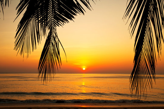 Tropical beach at sunset.