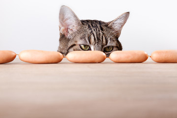 Katze und Würstchen