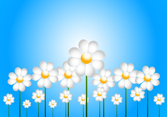 Vector Daisies