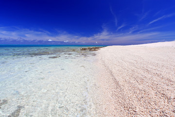 澄んだサンゴ礁の海と白い砂浜