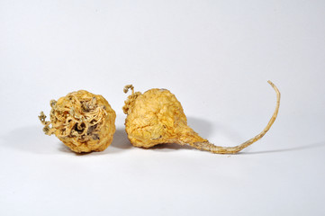 Maca Lepidium meyenii