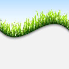 Fresh background with grass