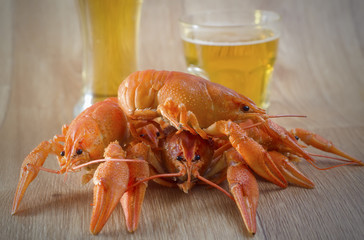 lobster with beer