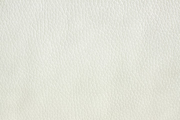 White Leather Texture
