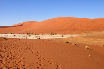Fototapeta na wymiar Desert Namibie15