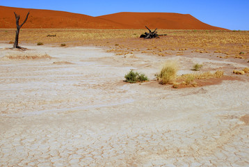 Fototapeta na wymiar Desert Namibie26pan