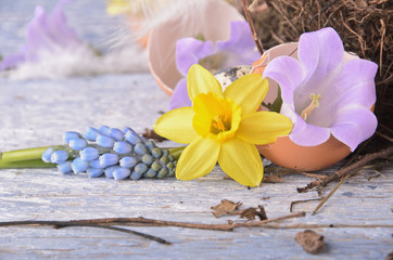 Happy Easter: blue bell in eggshell