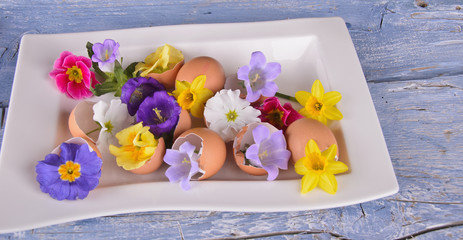 Ostern: Teller mit Eierschalen und Blüten