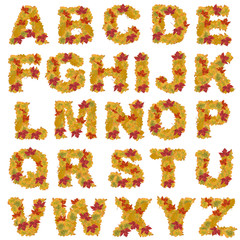 autumn leaves alphabet