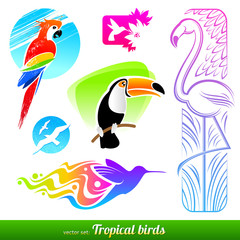 Obraz na płótnie Canvas Wektor zestaw stylizowane ozdobnych ptaków tropikalnych