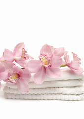 beautiful branch pink orchid on towel