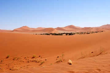 Fototapeta na wymiar Desert Namibie33