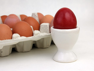 rotes Ei im Eierbecher