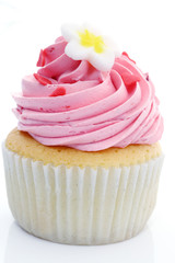 Colorful Cup Cake