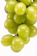 Muscat grapes