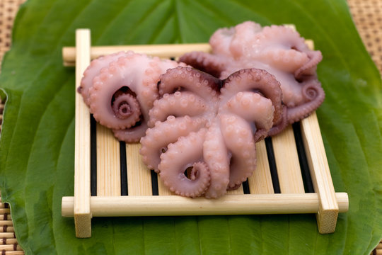 octopuson wood tray