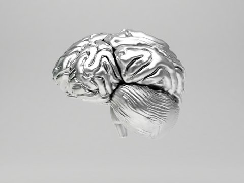 cervello 3d argento metallo