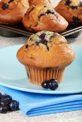 blueberry muffin