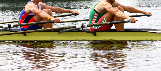 rowing athletes in training - obrazy, fototapety, plakaty