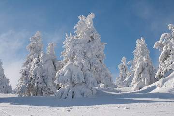 Winterlandschaft
