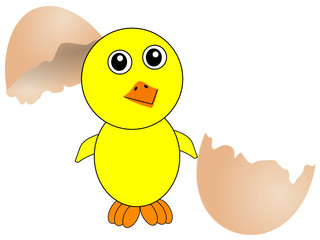 Kücken aus der Schale