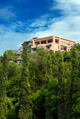 Fototapeta na wymiar house in the rainforest