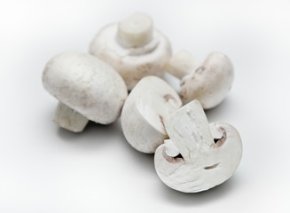 champignons