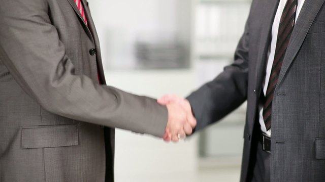 zwei gesch&auml;ftsm&auml;nner geben sich die hand