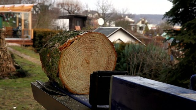Holzspalter Holz spalten