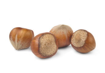 hazelnuts isolated on white background