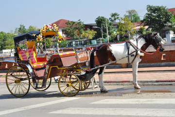 Fototapeta na wymiar The carriage in Lampang