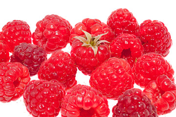 Fresh raspberries with branches