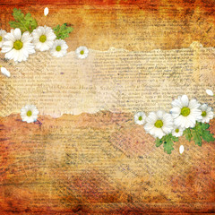 Grunge abstract background with camomile