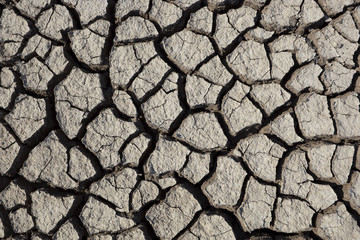 cracked earth texture