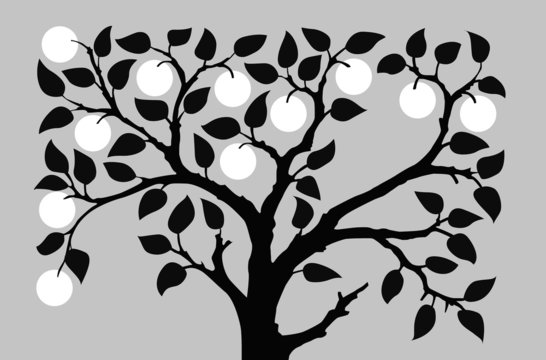 silhouette to aple trees on gray background
