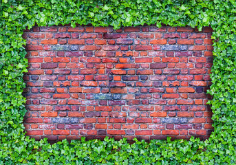 leaf frame and bricks in the middle
