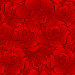 Seamless pattern of red rose
