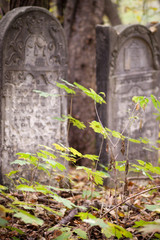 Old Jewish cemetery