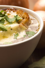 French onion soup with ingredients