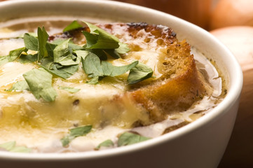 French onion soup with ingredients