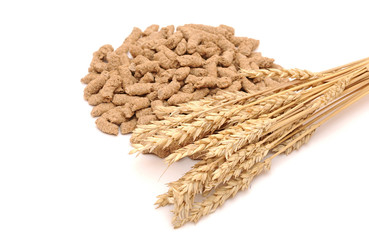 Wheat bran with ear on white background