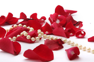 Rose petals and pearl beads isolated on white
