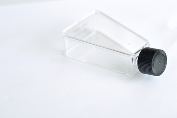 Tissue culture flask